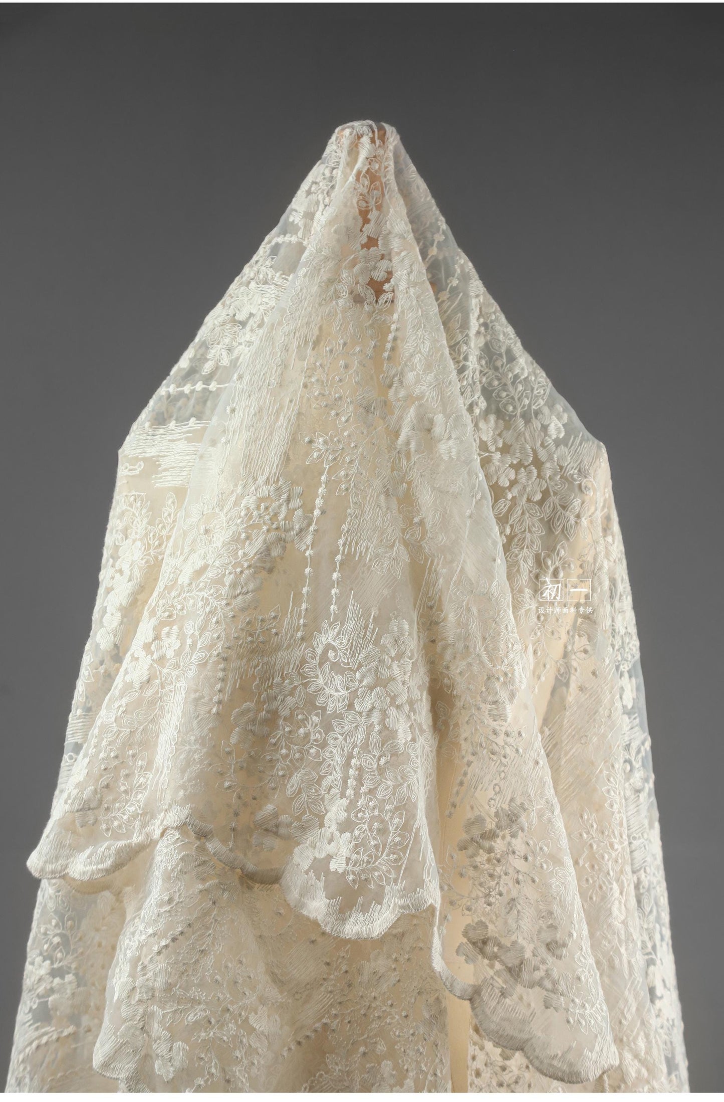 Embroidered Morning Glory Mesh Fabric ��� Apricot Bridal Ve"W