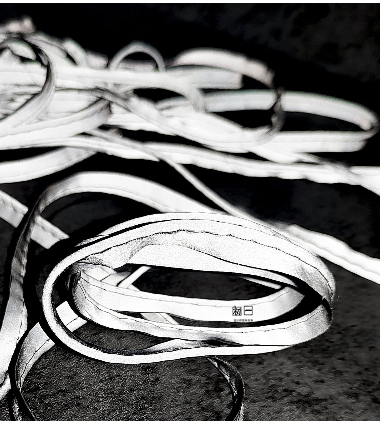 High Visibility Reflective Fabric Strip: Silver Luminous Rope Edging