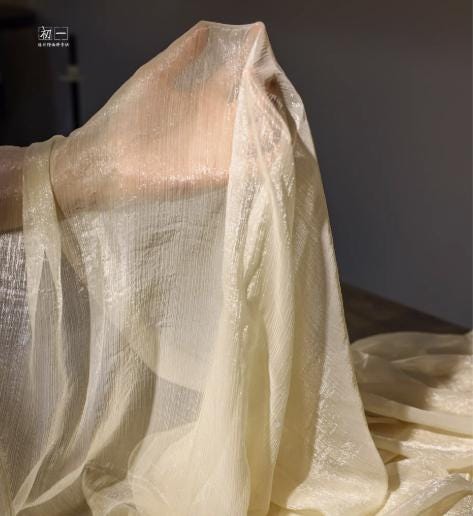 Shimmering Chiffon Mesh Fabric, Sheer Polyester Sewing, Costume, Decor