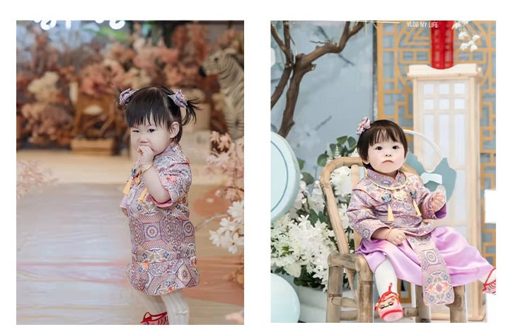 Tissu brocart à fleurs de prunier : tissu pour coussin Cheongsam chinois (29,5 po L)