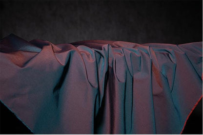 Two-Tone Windbreaker Fabric: Fantasy Color Fashion Coat Material