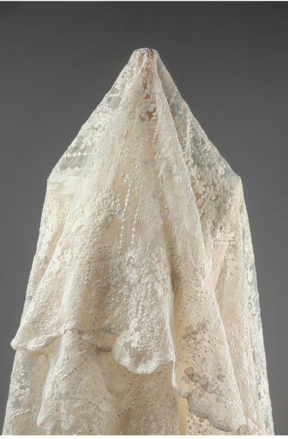 Embroidered Morning Glory Mesh Fabric ��� Apricot Bridal Ve"W