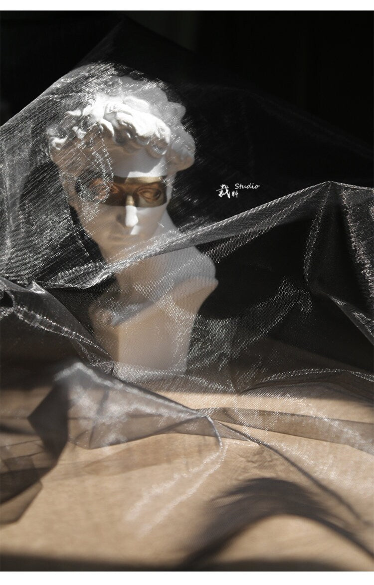 Black Organza Fabric: Sheer Glossy Mesh, Dress Skirt Material