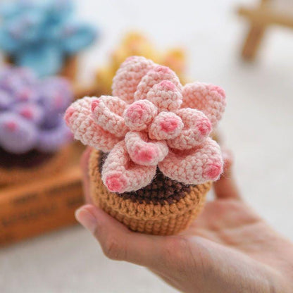 Kit de crochet DIY pour succulentes : Matériel pour bouquet de fleurs tissées à la main