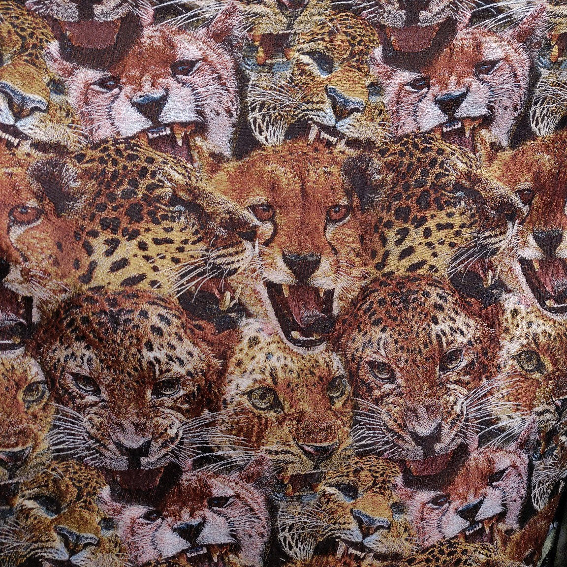Tissu jacquard léopard tigre : revêtement d’ameublement tissé en relief, 152 cm de large
