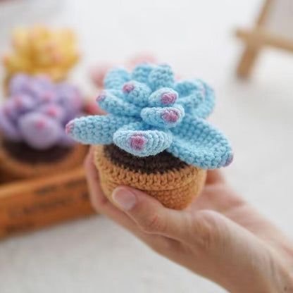Kit de crochet DIY pour succulentes : Matériel pour bouquet de fleurs tissées à la main