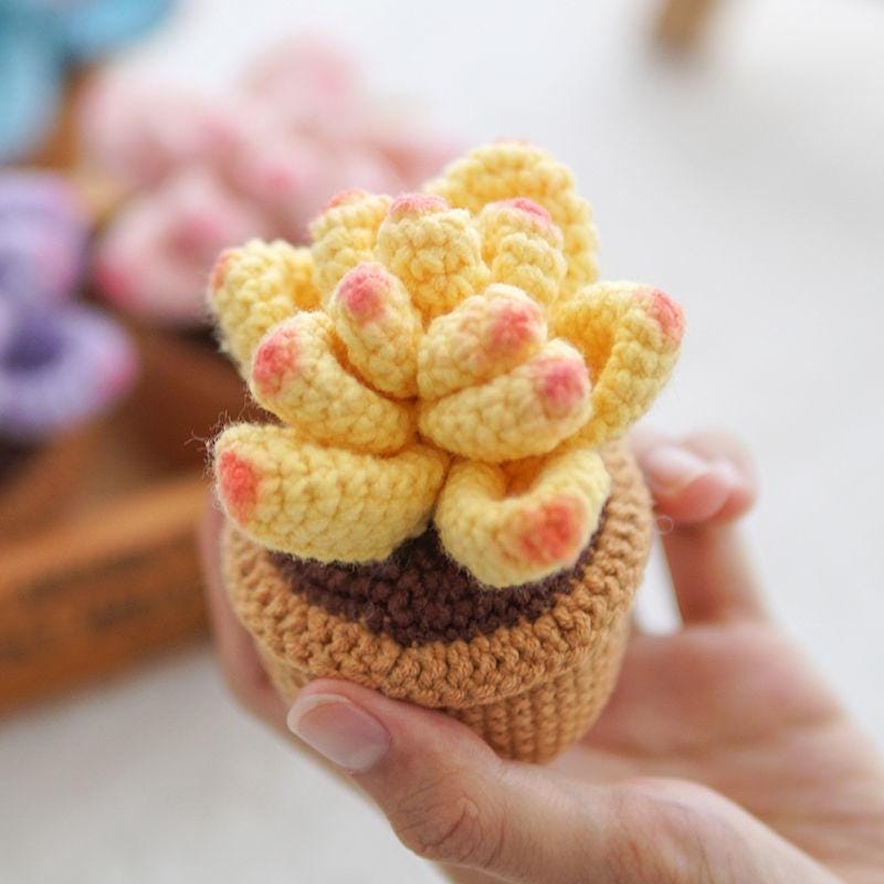 Kit de crochet DIY pour succulentes : Matériel pour bouquet de fleurs tissées à la main