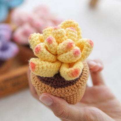 Kit de crochet DIY pour succulentes : Matériel pour bouquet de fleurs tissées à la main