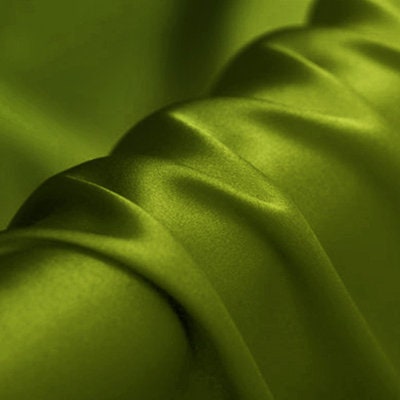 Mulberry Silk Fabric: 19 Momme, Long Fibre, Apparel & Decor