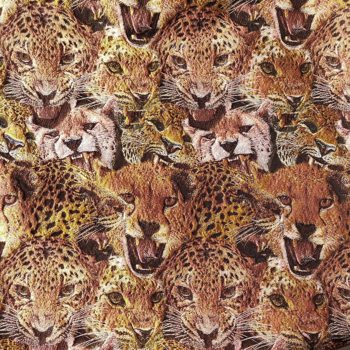 Tissu jacquard léopard tigre : revêtement d’ameublement tissé en relief, 152 cm de large