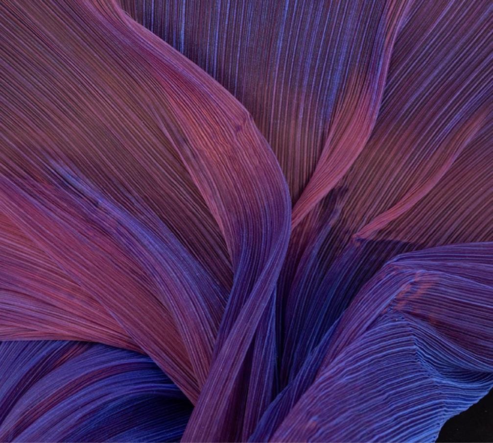 Two-Tone Pleated Organza Fabric: Fantasy Gradient Designer Material