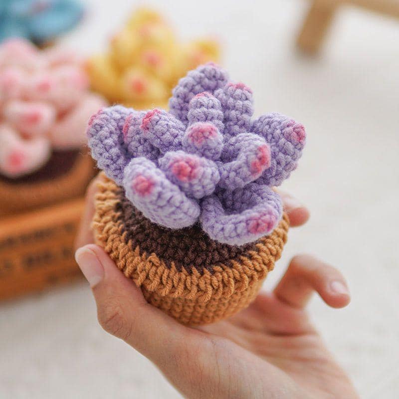 Kit de crochet DIY pour succulentes : Matériel pour bouquet de fleurs tissées à la main
