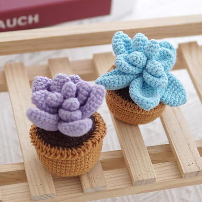 Kit de crochet DIY pour succulentes : Matériel pour bouquet de fleurs tissées à la main