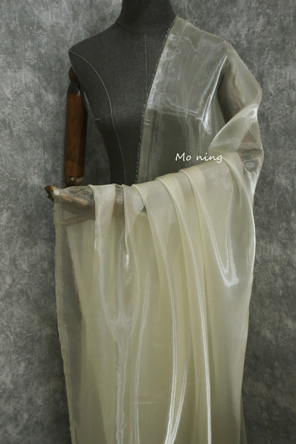 Liquid High-Gloss Organza Fabric: Reflective Fairy Mesh, 59"W