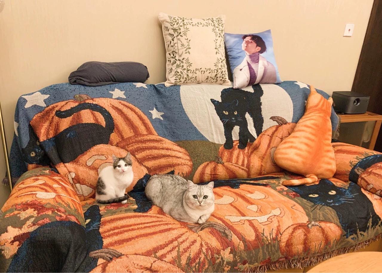 Halloween Sofa Throw Blanket: Black Cats & Pumpkins, Fringed Woven Rug
