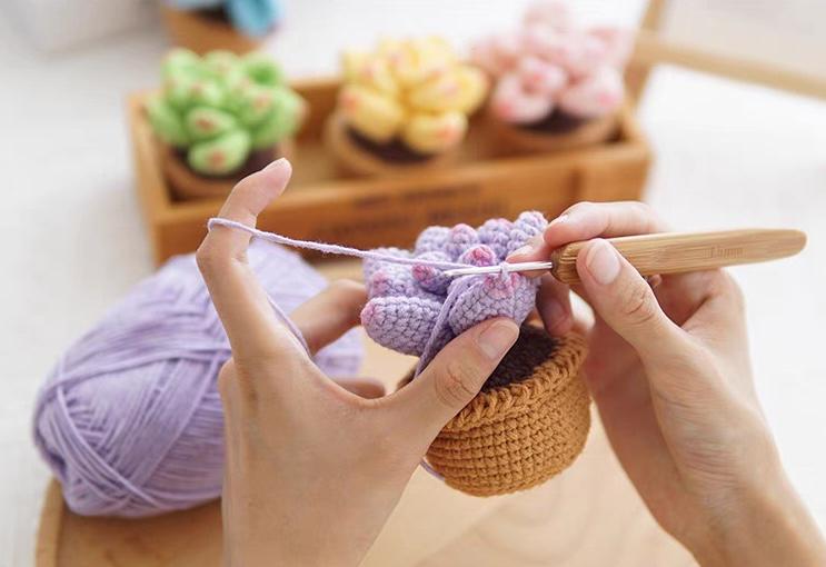 Kit de crochet DIY pour succulentes : Matériel pour bouquet de fleurs tissées à la main