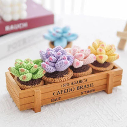 Kit de crochet DIY pour succulentes : Matériel pour bouquet de fleurs tissées à la main