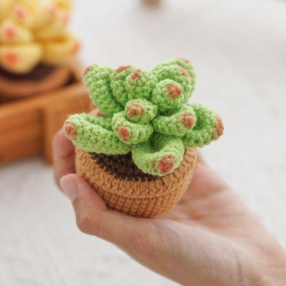Kit de crochet DIY pour succulentes : Matériel pour bouquet de fleurs tissées à la main