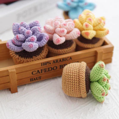 Kit de crochet DIY pour succulentes : Matériel pour bouquet de fleurs tissées à la main