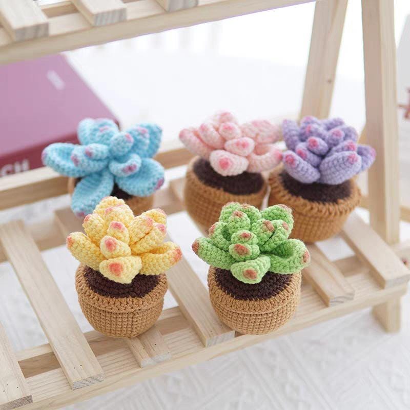 Kit de crochet DIY pour succulentes : Matériel pour bouquet de fleurs tissées à la main