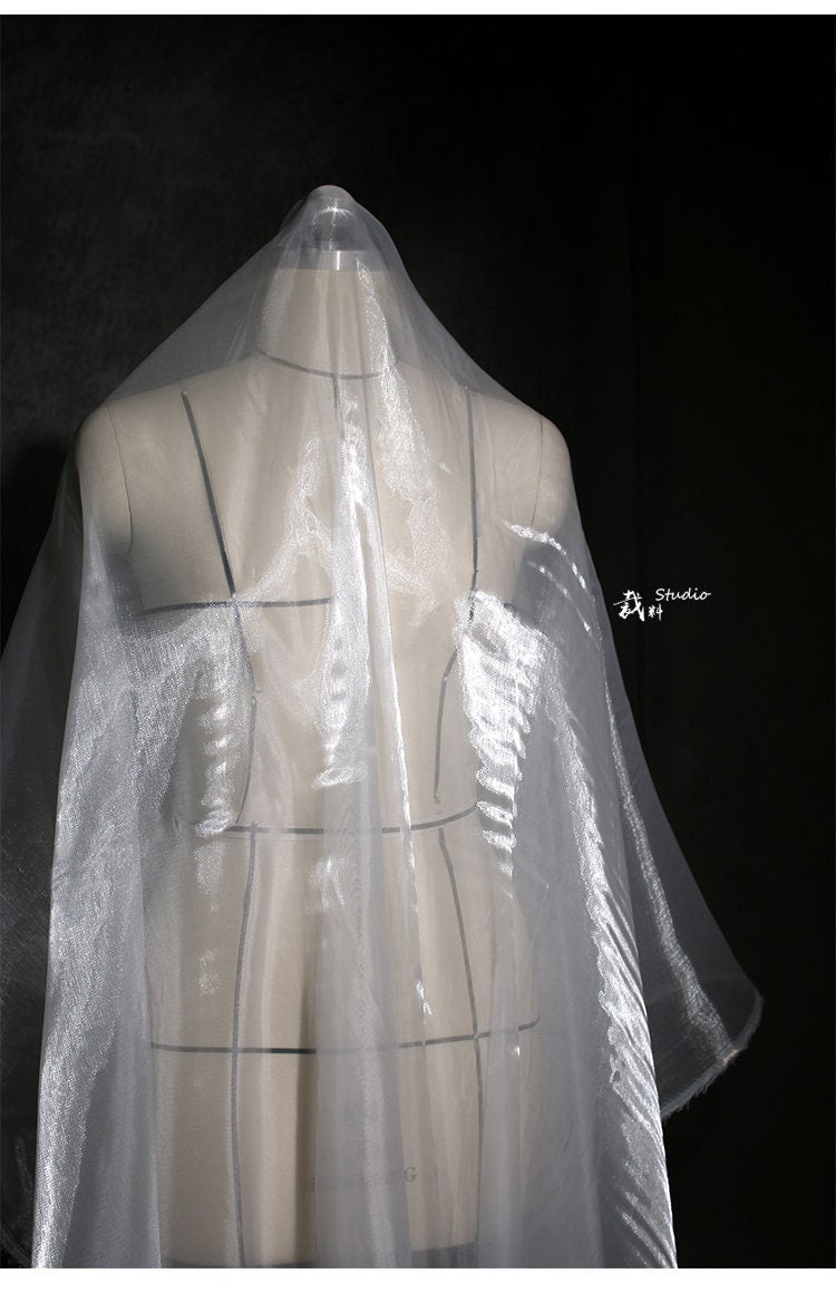 Liquid High-Gloss Organza Fabric: Reflective Fairy Mesh, 59"W