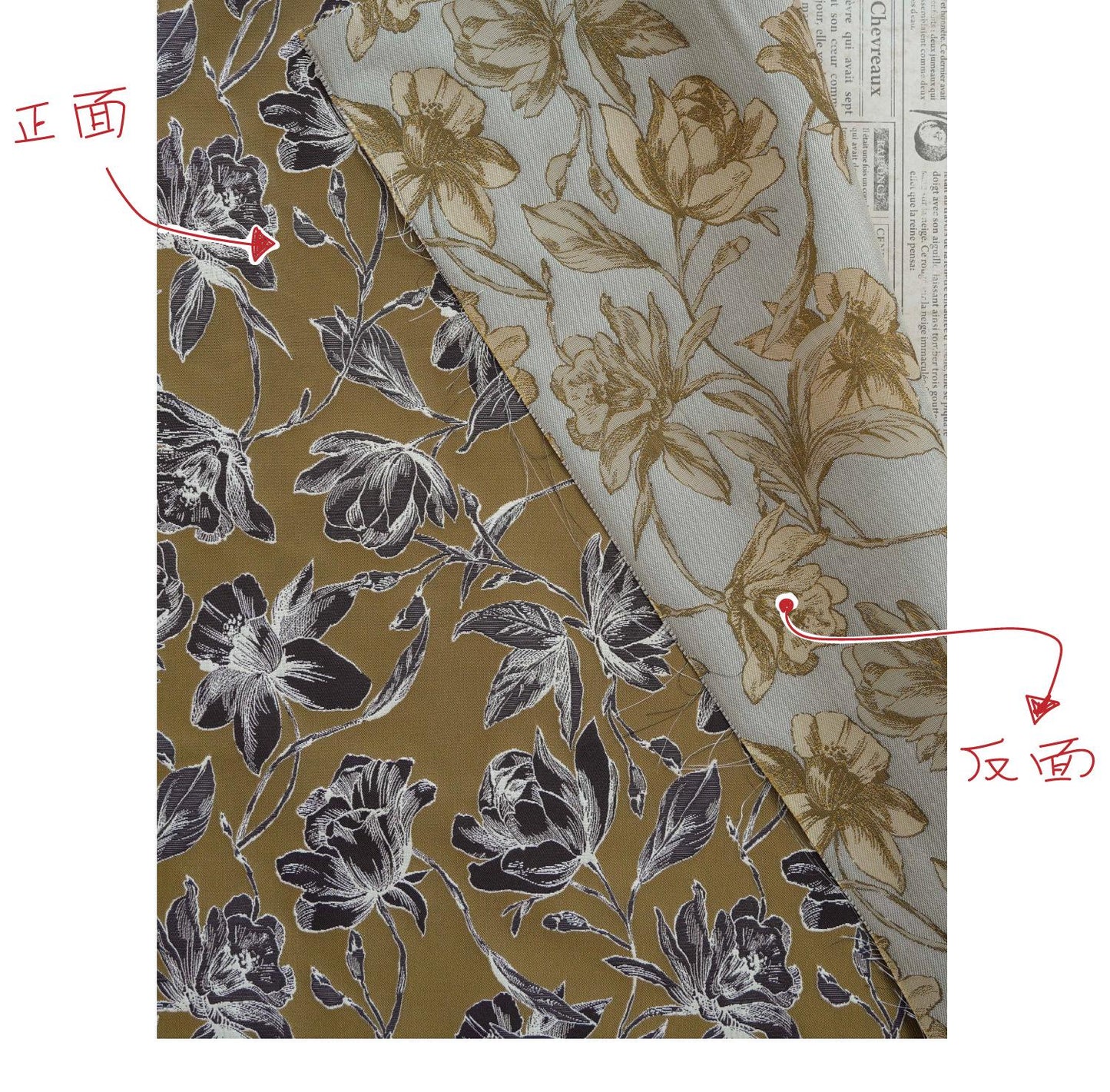 Vintage Hand-Drawn Magnolia Yarn-Dyed Fabric, Floral Upholstery Textile, Retro Botanical Material for Curtains, Cushions & Home Decor, 63"W - Poppylollipop